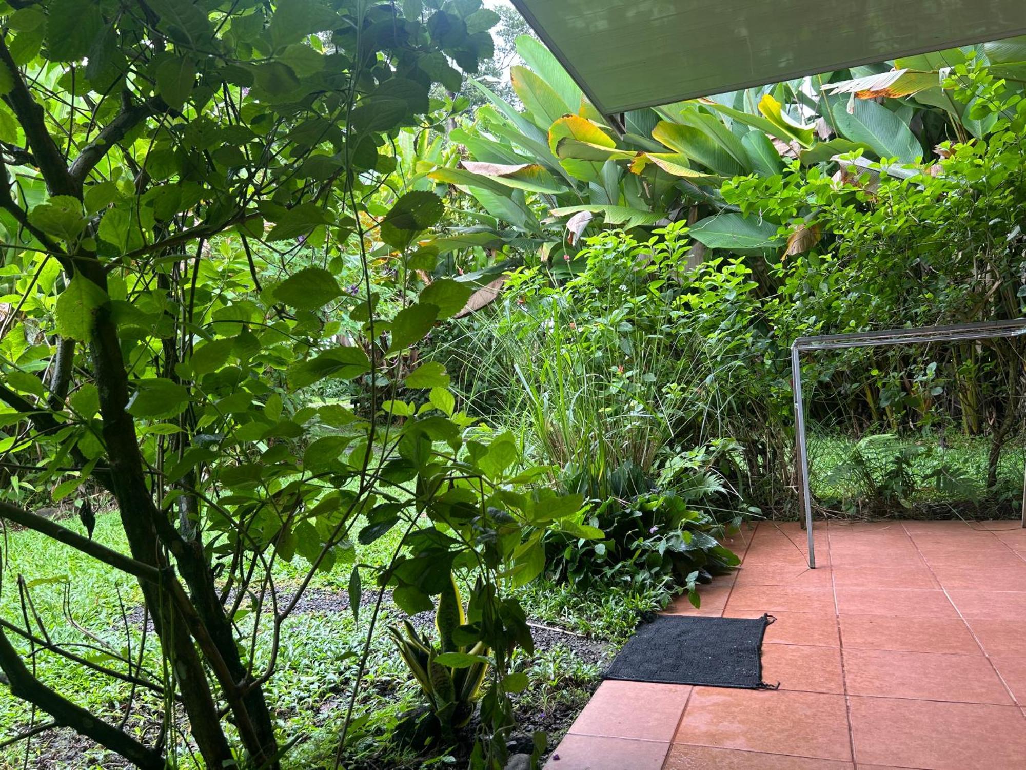 Granja Agua Azul, Wi-fi,ac-wc,parking,la Fortuna * La Fortuna