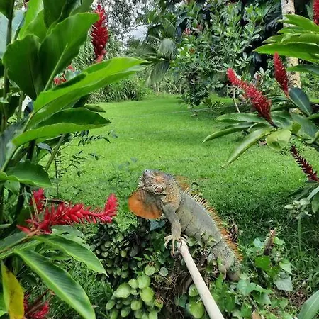 Apartamento Granja Agua Azul.A/C WiFi,2 Camas, Rio, jardines. La Fortuna Exterior foto